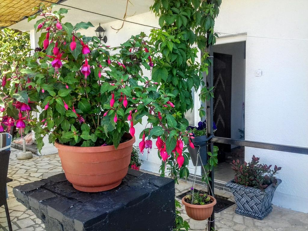 Apartment Little Princess Dora Сень Екстер'єр фото